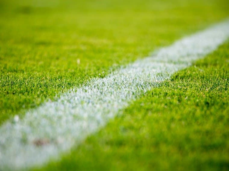 Línea blanca pintada sobre el césped de una cancha.